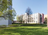 Pronájem kanceláře, 363 m²