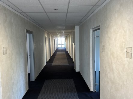 Pronájem kanceláře, 363 m²