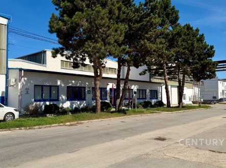 Pronájem výrobní prostory, 3 000 m²