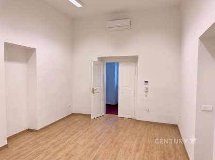 Pronájem kanceláře, 23 m²