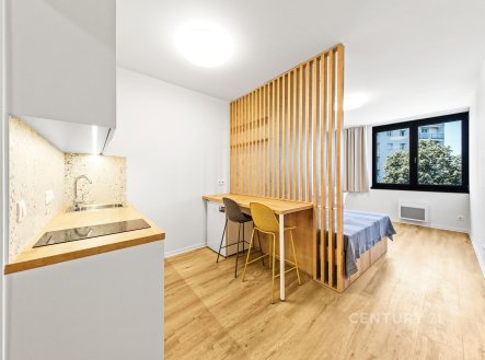 Prodej bytu, 1+kk, 28 m²