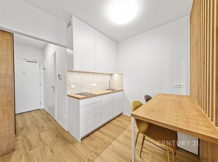 Prodej bytu, 1+kk, 28 m²
