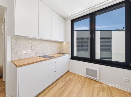 Prodej bytu, 1+kk, 20 m²