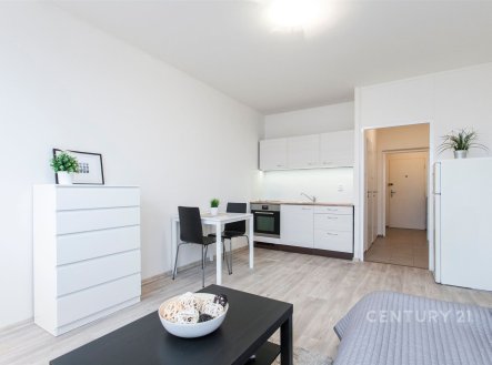 Pronájem bytu, 1+kk, 28 m²