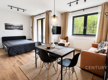 Pronájem bytu, 1+kk, 33 m²