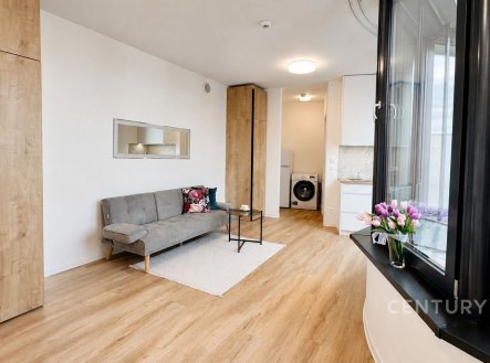 Pronájem bytu, 1+kk, 41 m²