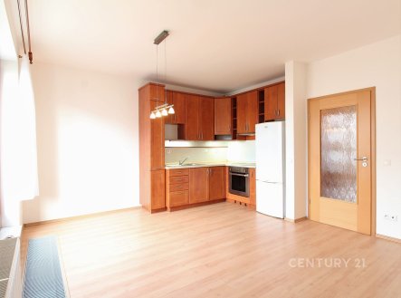 Pronájem bytu, 2+kk, 52 m²