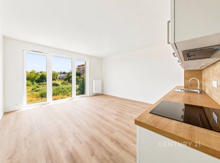 Pronájem bytu, 2+kk, 54 m²