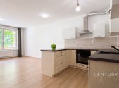 Pronájem bytu, 1+kk, 44 m²
