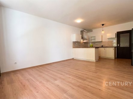 Pronájem bytu, 1+kk, 44 m²