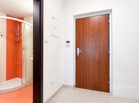Pronájem bytu, 1+kk, 44 m²
