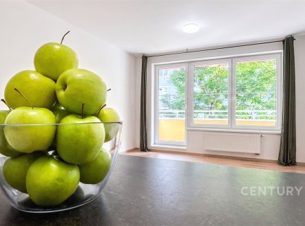 Pronájem bytu, 1+kk, 44 m²