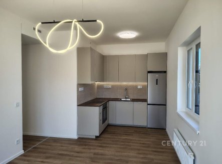 Pronájem bytu, 2+kk, 54 m²