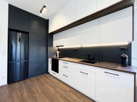 Pronájem bytu, 3+kk, 66 m²