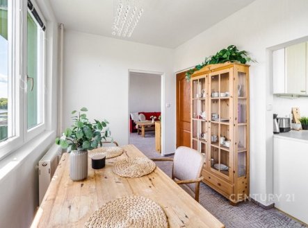 Prodej bytu, 3+kk, 62 m²