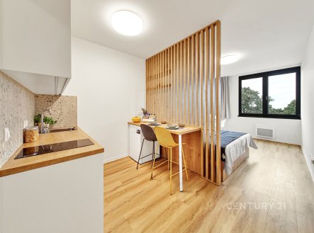 Prodej bytu, 1+kk, 28 m²
