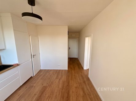 Pronájem bytu, 1+1, 37 m²