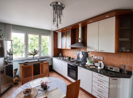 Pronájem bytu, 1+1, 56 m²