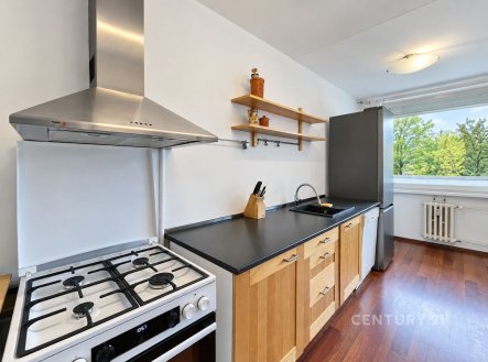 Pronájem bytu, 3+kk, 98 m²