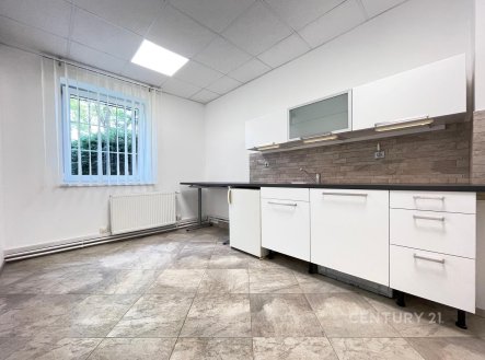 Pronájem jiné komerční nemovitosti, 740 m²