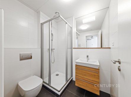 Prodej bytu, 1+kk, 20 m²