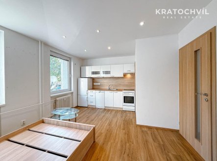 Pronájem bytu, 1+kk, 25 m²
