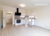 Pronájem bytu, 1+kk, 31 m²