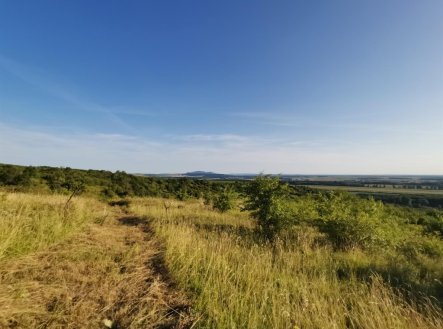 Prodej pozemku, zahrada, 1 751 m² obrázek