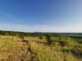 Prodej pozemku, zahrada, 1 751 m²