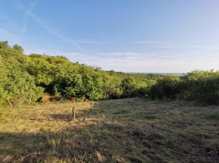 Prodej pozemku, zahrada, 1 751 m²