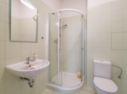 Pronájem bytu, 1+kk, 47 m²