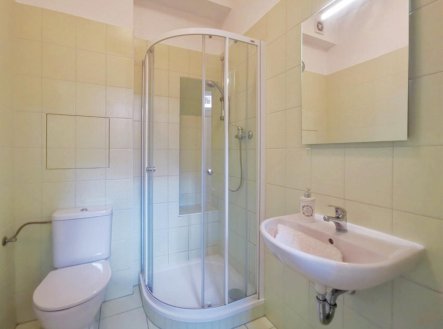 Pronájem bytu, 1+1, 44 m²