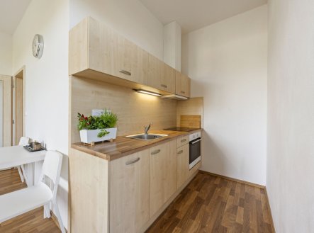 Prodej bytu, 1+kk, 33 m²