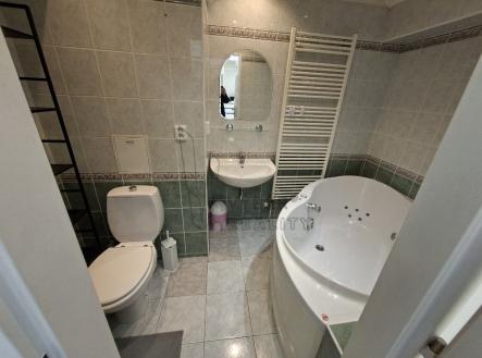 Pronájem bytu, 1+1, 41 m²