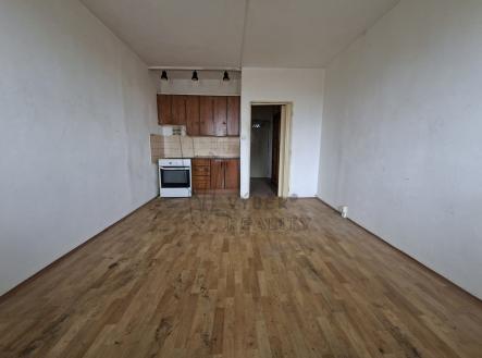 Prodej bytu, 1+kk, 24 m²