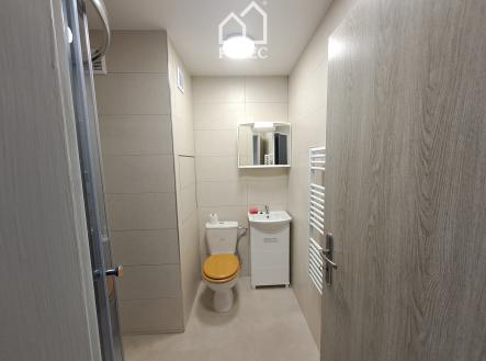 Pronájem bytu, 1+kk, 22 m²