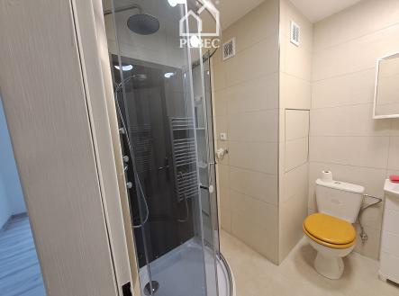 Pronájem bytu, 1+kk, 22 m²