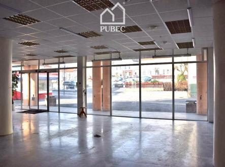 Pronájem - obchodní prostor, 254 m²