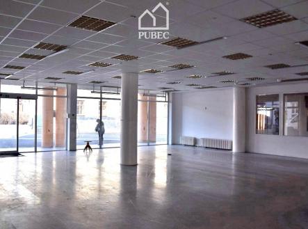 Pronájem - obchodní prostor, 254 m²
