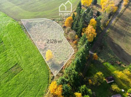 Prodej pozemku pro bydlení, 2 128 m²