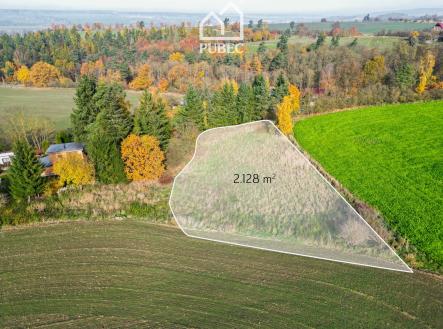 Prodej pozemku pro bydlení, 2 128 m²
