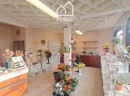 Pronájem obchodní prostor, 52 m²