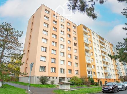 Prodej bytu, 1+1, 32 m² obrázek