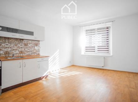 Pronájem bytu, 1+1, 48 m²