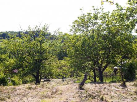 Prodej - pozemek, zahrada, 1 724 m²