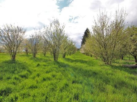 Prodej pozemku pro bydlení, 2 985 m²