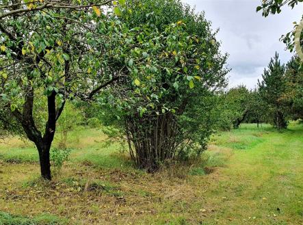 Prodej - pozemek, zahrada, 2 500 m²