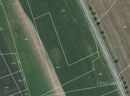 Prodej pozemku, zemědělská půda, 4 796 m²