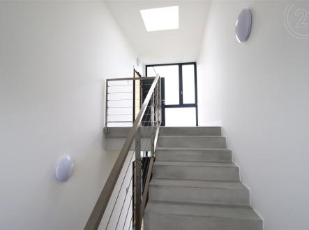 Pronájem kanceláře, 250 m²