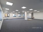 Pronájem kanceláře, 250 m²